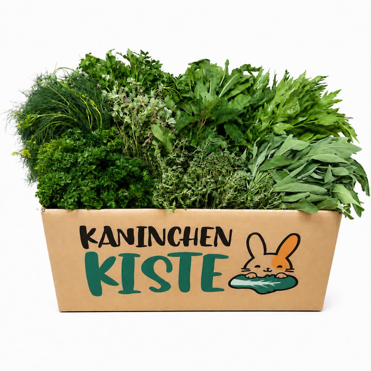 Frischekiste Kräuter