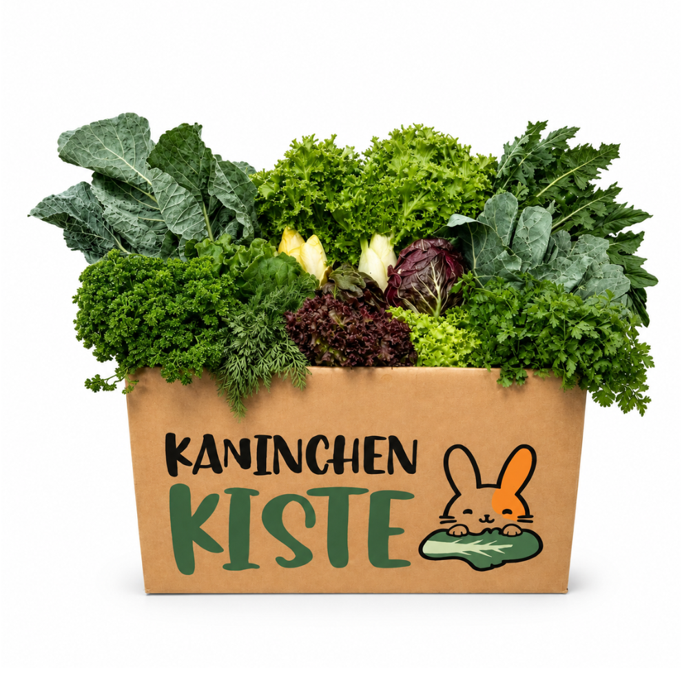 Frischekiste Bauchwohl