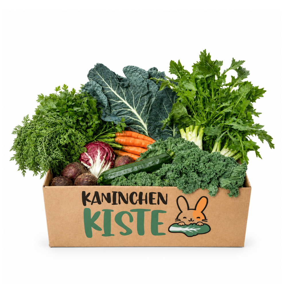 Frischekiste Herbst Special