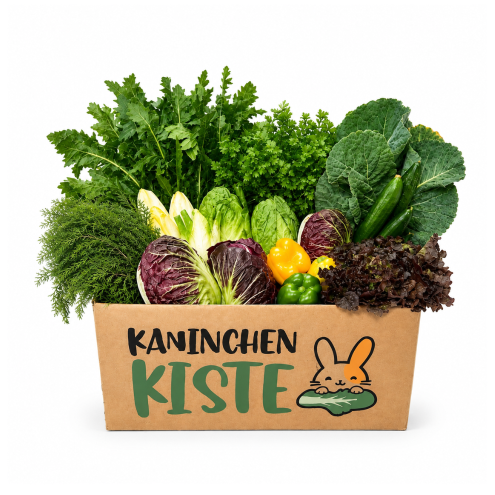Frischekiste Meerschweinchen
