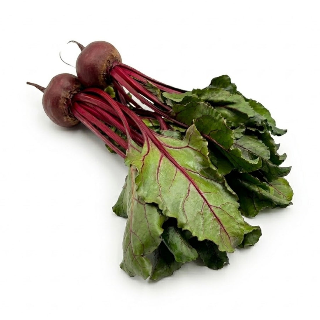 Rote Bete mit Blatt