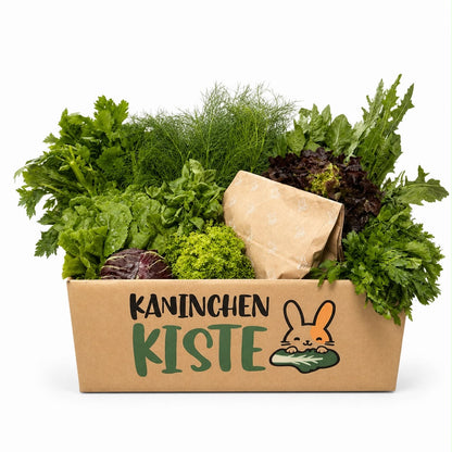 Kattis Frischekiste