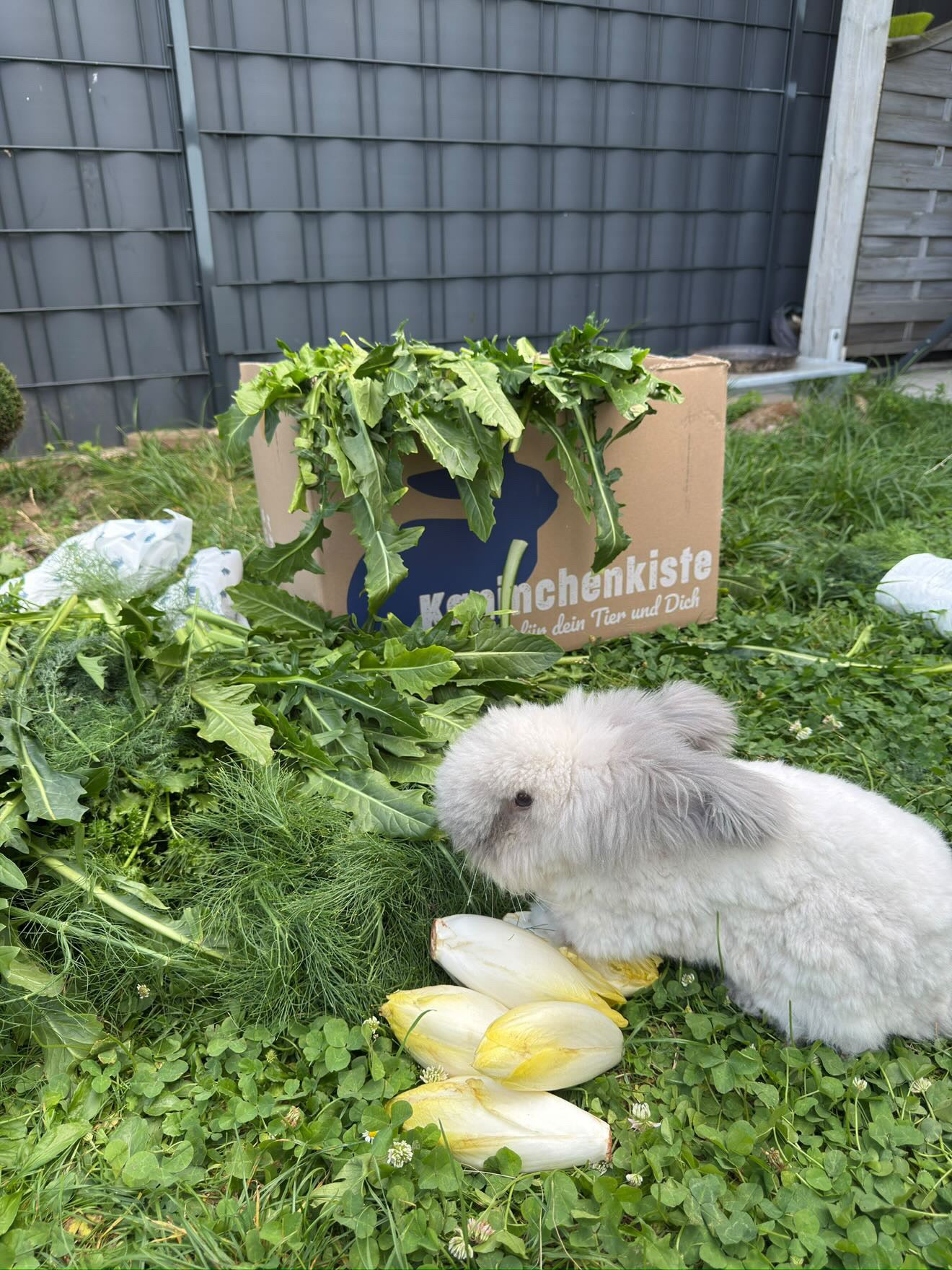 TimuCoco Frischekiste