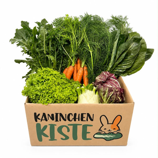 Frischekiste Mix ohne Kohl