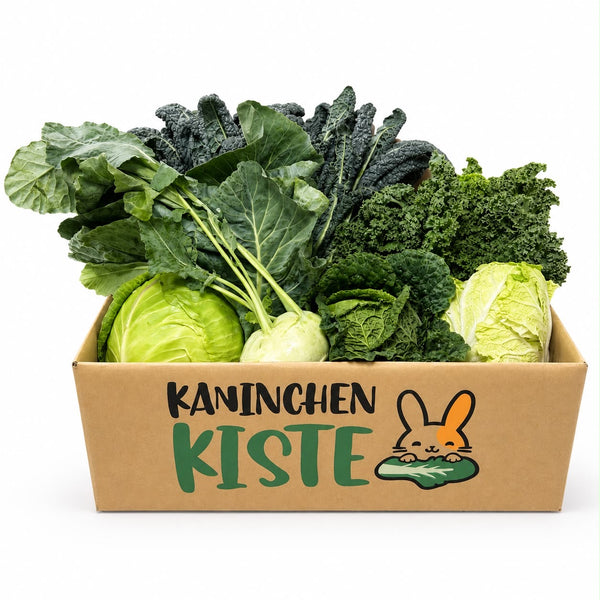 Frischekiste Kohl