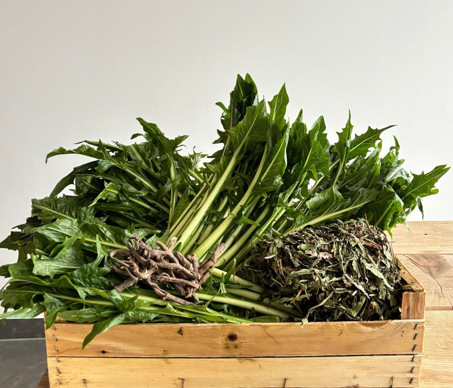 Frischekiste L&ouml;wenzahnmix