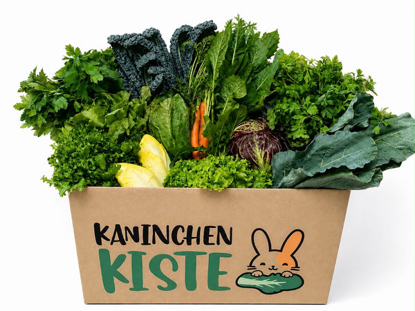 Frischekiste Mix