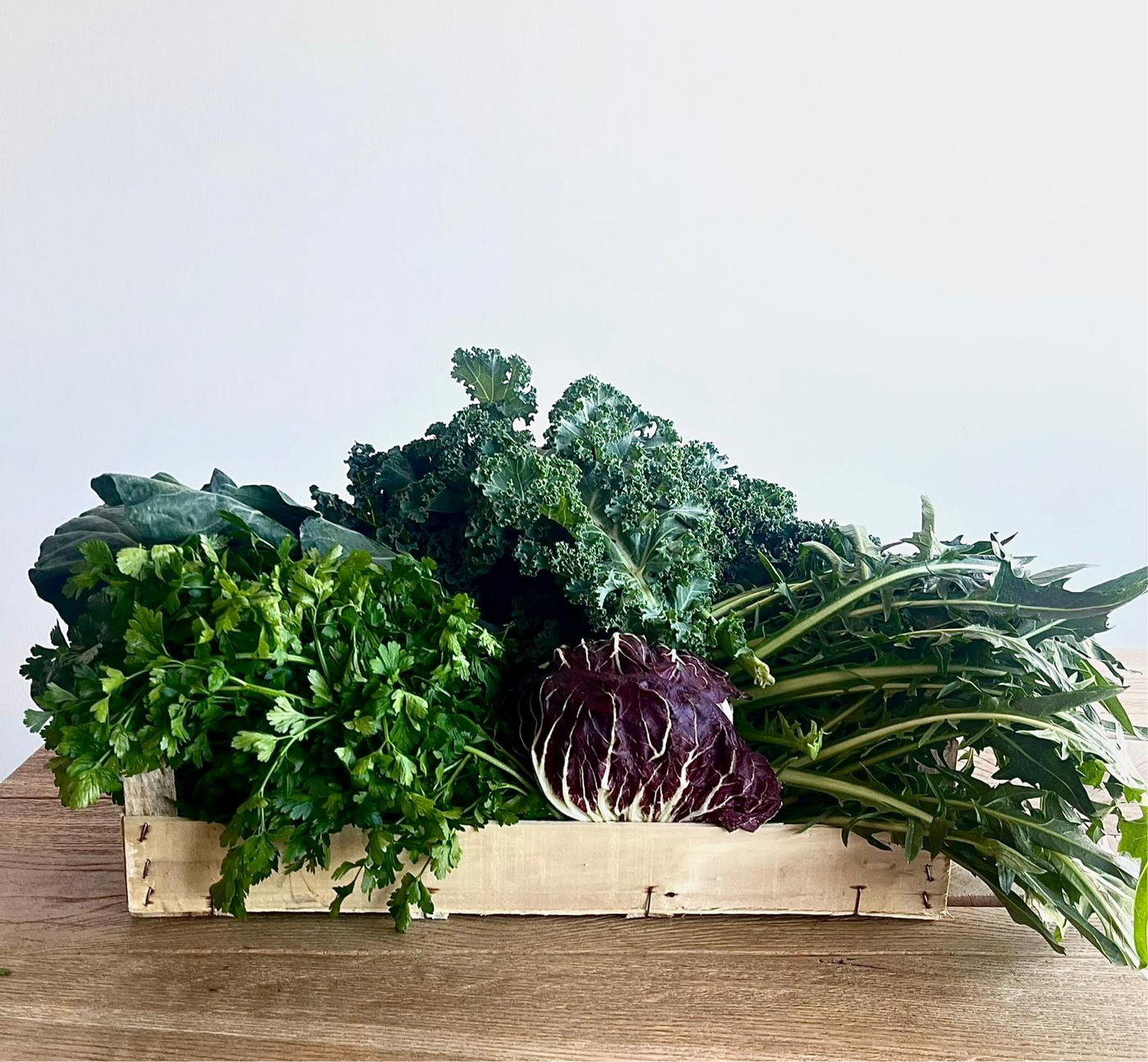 Kennenlern - Frischekiste