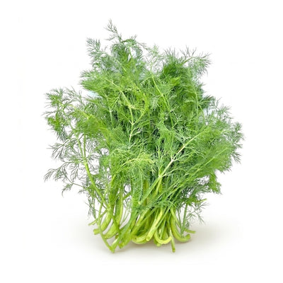 Dill