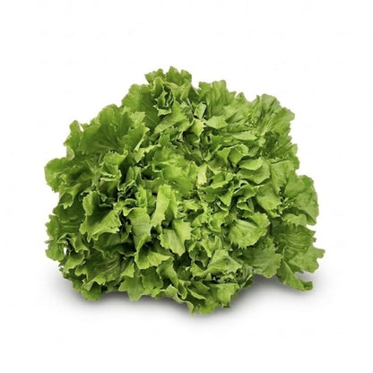 Endiviensalat