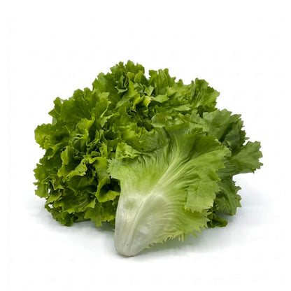 Endiviensalat