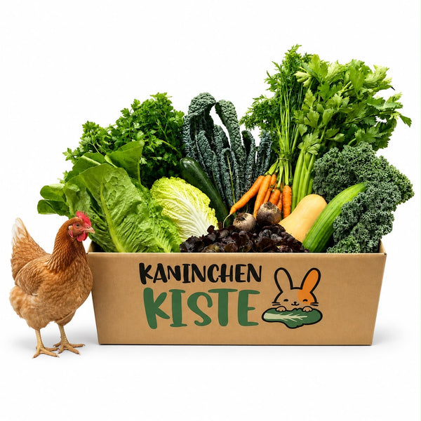 Frischekiste Hühner
