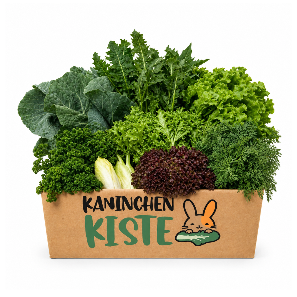 Frischekiste Bauchwohl