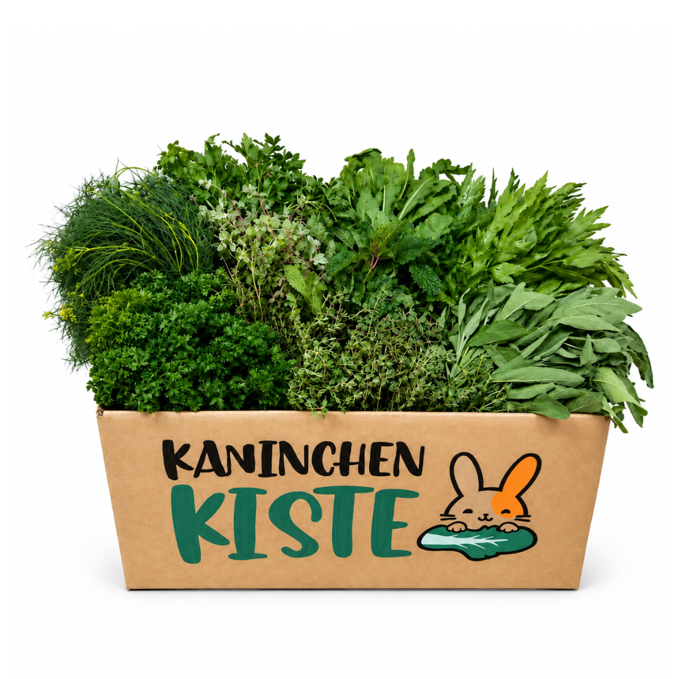 Frischekiste Kräuter