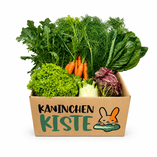 Frischekiste Mix ohne Kohl