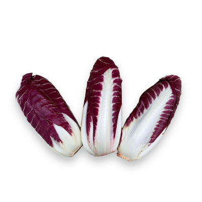 Radicchio Trevisano