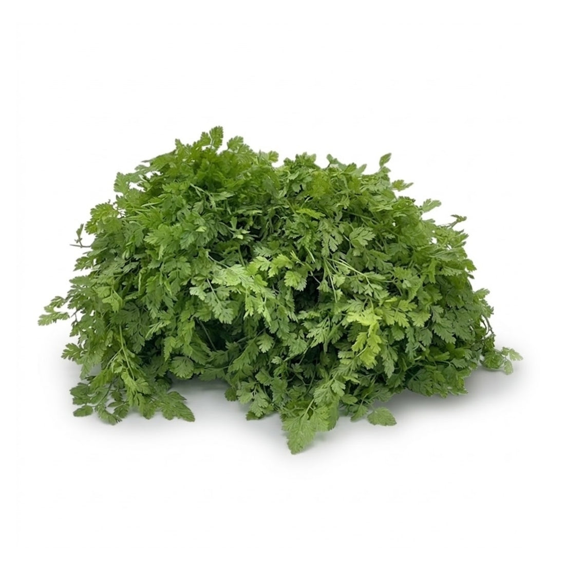 Kerbel – Kaninchenkiste