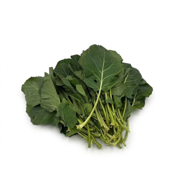 Kohlrabiblätter – Kaninchenkiste