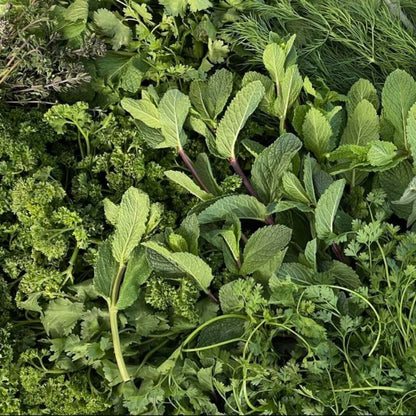 Kräutertüte