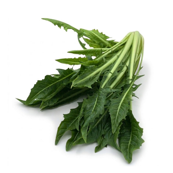 möhren mit grün aufbewahren Möhren mit Grün, 500gr – Kaninchenkiste