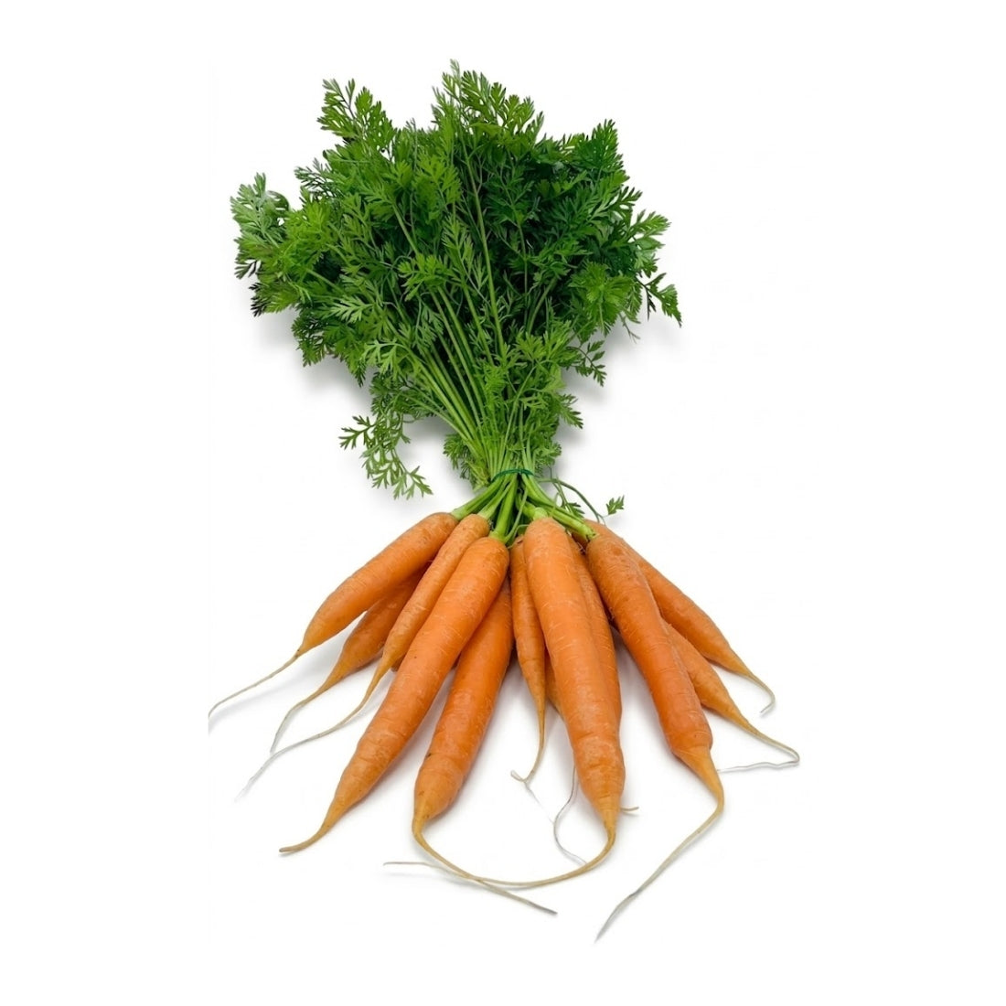 Möhren mit Grün, 500gr – Kaninchenkiste