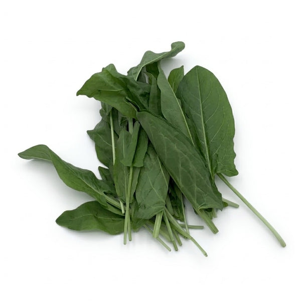 Sauerampfer
