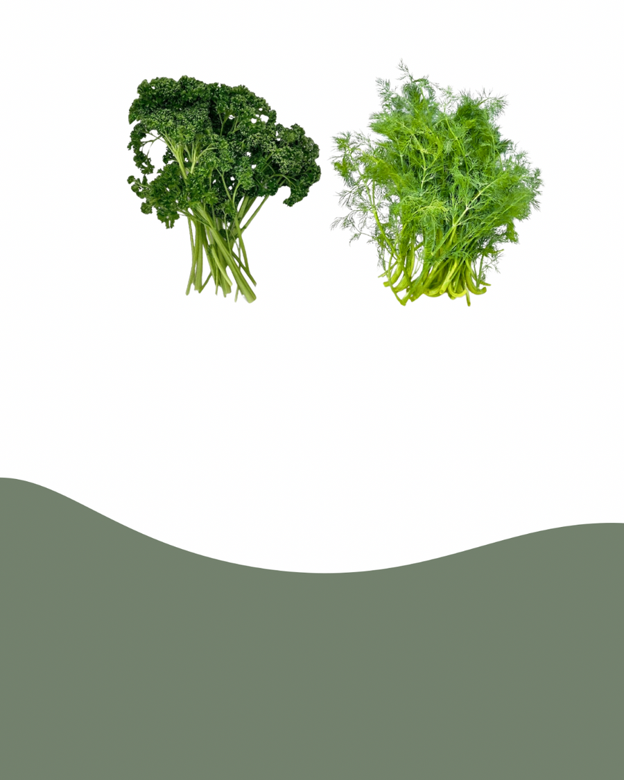 Spare 40% auf krause Petersilie und Dill