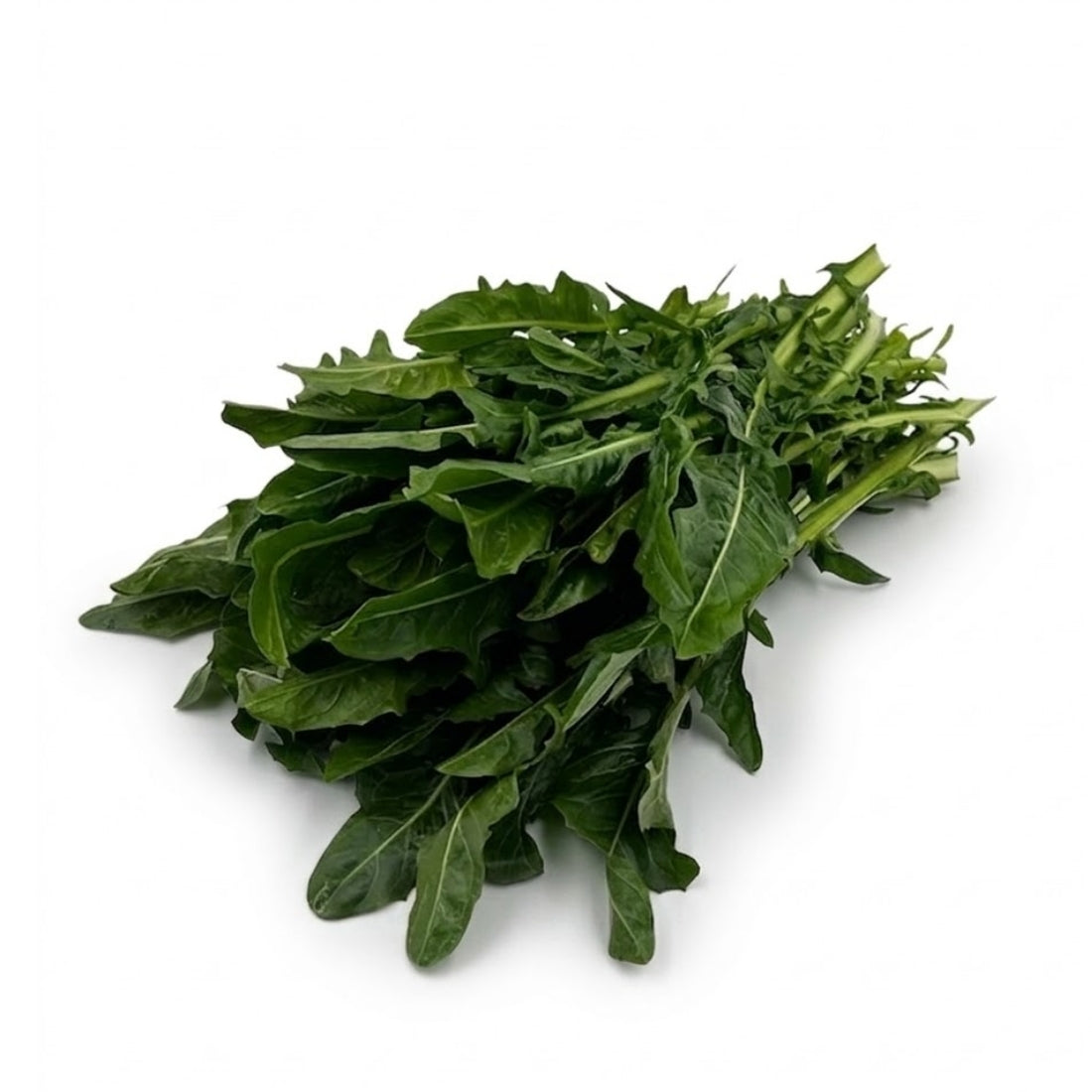 Spitzen vom Löwenzahnsalat (Catalogna ohne Strunk), 500gr