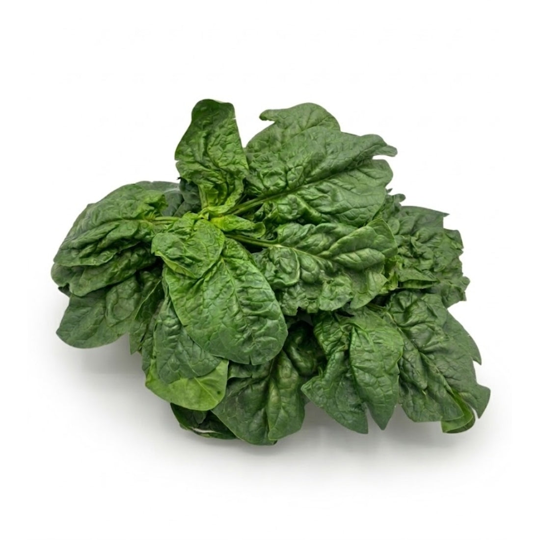 Wurzelspinat, 500 g