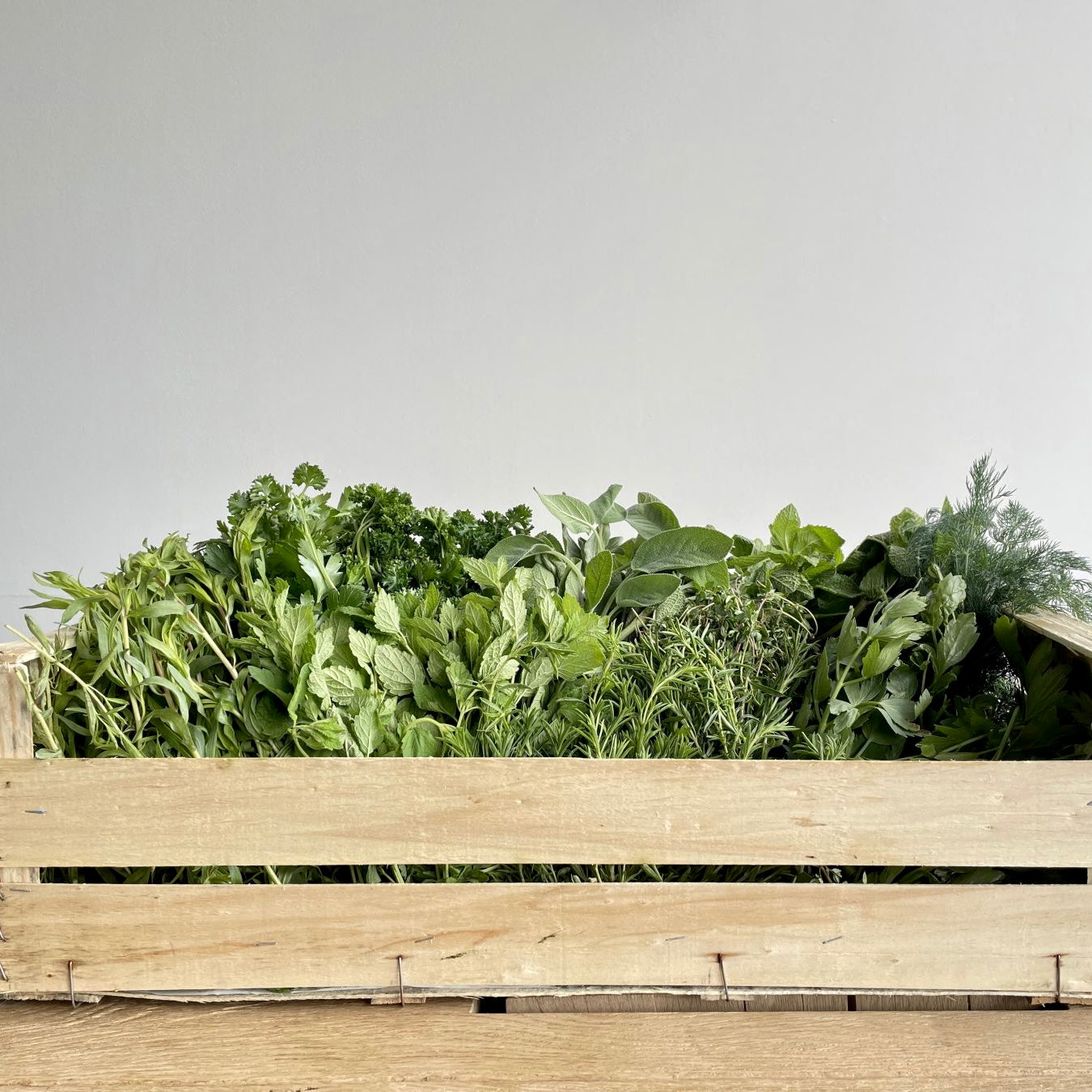 Frischekiste Kr&auml;uter